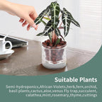 4 Inch Self Watering Pot, African Violet Pot, Bottom Watering Glass Planter - Image 7