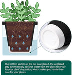 D'vine Dev 4 Inch Design Self Watering Planter - Image 6
