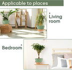 12-Inch Self Watering Planters - Image 7