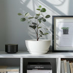 T4U 8 Inch Plant Pots, Plastic Planters - Image 5