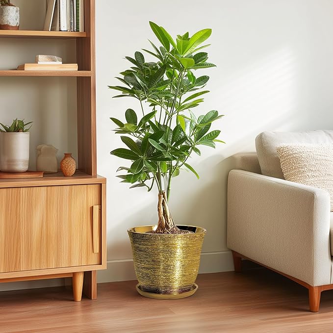 Ceramic Planter - Image 4