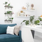 XXXFLOWER Wall Hanging Propagation Station - Image 7