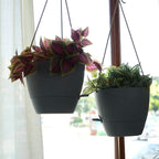 10 Inch Self Watering Hanging Pots, 2 Pack Hanging Planters - Image 6