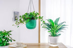 Melphoe 2 Pack Self Watering Hanging Planters Indoor Flower Pots, 6.5 Inch - Image 5