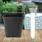 June Fox Square Nursery Pots 3.3 Inches Flexible Plastic Seedling Pots Square - Image 2