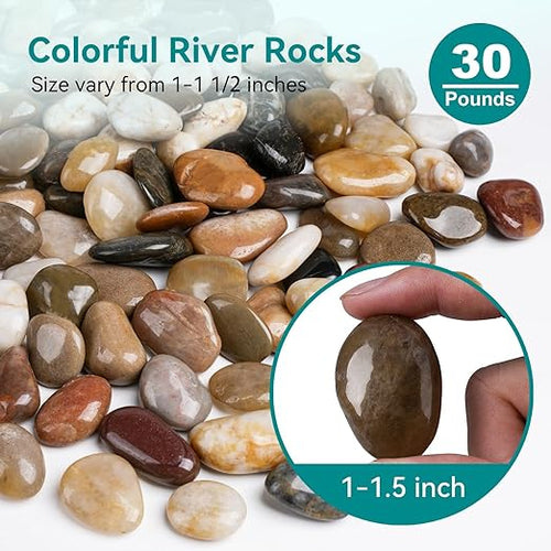 30 lbs River Rocks, 1-1 1/2 inch Plant Rocks - Image 2