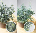 Lemonfilter Small Fake Plants, Fake Potted Plant - Image 3