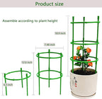 12 Packs Plant Support Stakes, Plant Support - Image 4