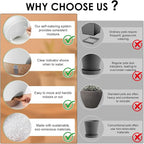 Self-Watering Plant Pots with Water Level Indicator, Drainage Holes & Saucers – - Image 3