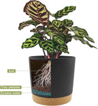 QCQHDU 12 inch Plant Pot, 2 Pack Planters - Image 3