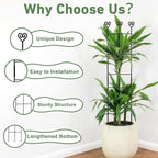 32in Large Indoor Plant Trellis - Image 4