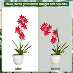 Mwellewm 6 Sets Plant Stakes 12/25/36 Inch Adjustable Plant Support Stakes Tall - Image 2