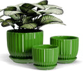 Ton Sin Ceramic Plant Pots, Indoor Planters by TonSin