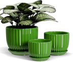 Ton Sin Ceramic Plant Pots, Indoor Planters by TonSin