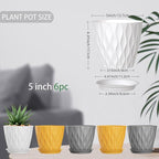 5 Inch Planter Pots, 6 Pack Indoor Planters, Small Flower Pots - Image 2