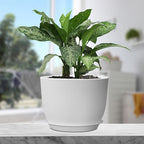 12 inch Large Plant Pots, Plastic Planters - Image 5