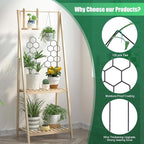 Small Trellis for Potted Plants, 15.94 inch Metal Plant Trellis for Climbing - Image 2