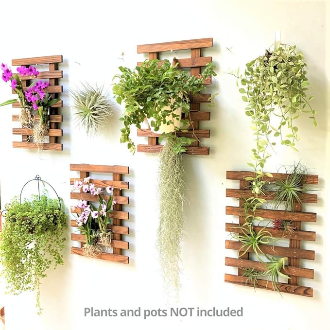 ShopLaLa Wall Planters - Image 7