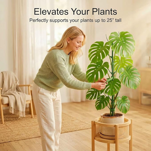 10-Pack Monstera Plant Support Stakes - Image 2