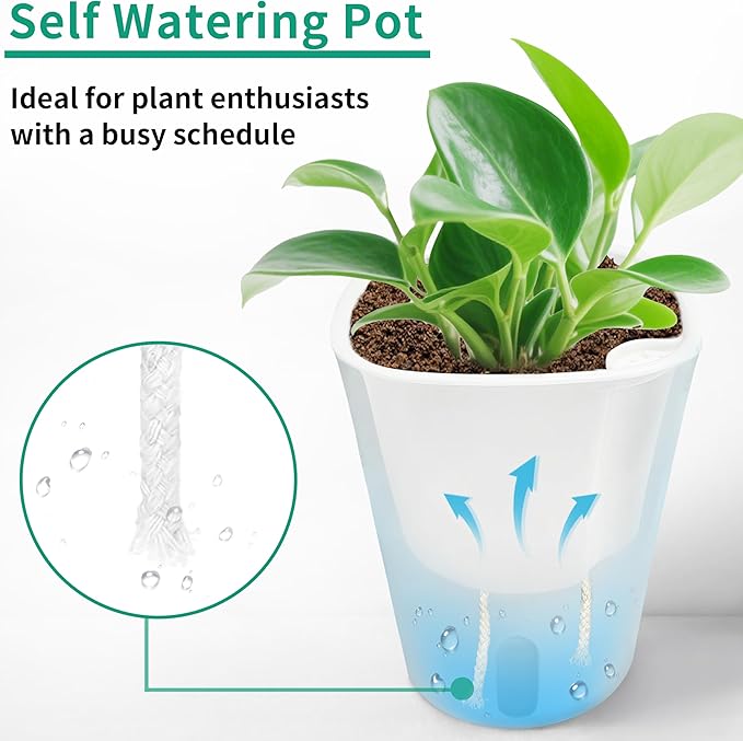 TCBWFY 4 Inch Self Watering Pots - Image 4