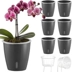Self Watering Pots for Indoor Plants, Small African Violet Pots by KvyusFlourish