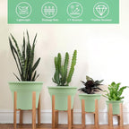 8 Inch Plastic-Flower Pot-for-Indoor Plants, 4 Pack Large Outdoor Planter Pot - Image 4