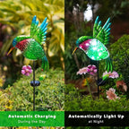 dreamysoul Outdoor Solar Hummingbird Garden Lights, Decorative Hummingbird - Image 3