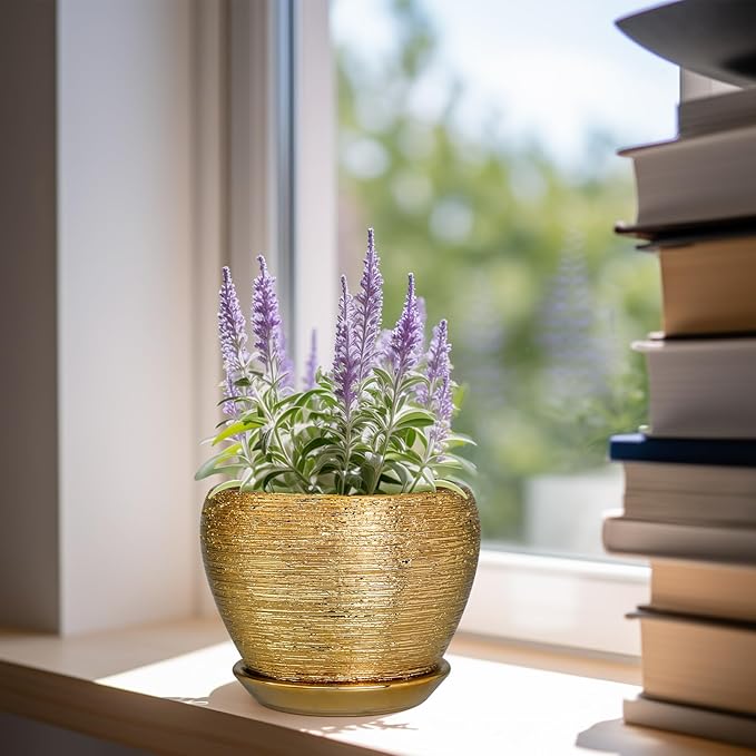Indoor Plant Pot 6 Inch - Image 3
