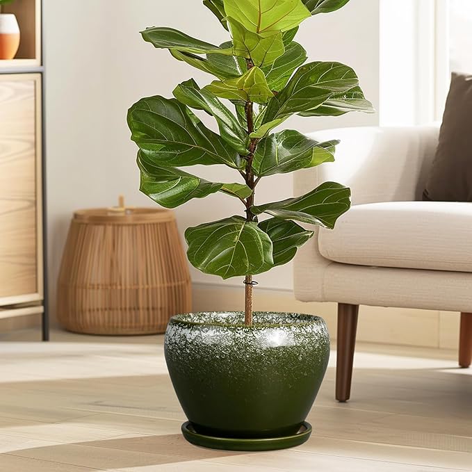 8 Inch Plant Pot - Image 5