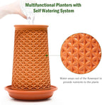 Plant Pots 5.7 Inch Self Watering Planters, Terracotta Pots - Image 5