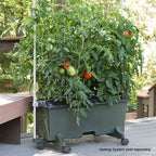 EarthBox 80151 Garden Kit - Image 10