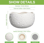 10 Inch Plant Pot - Image 2