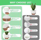 12" 10" 9" 8" Self Watering Pots - Image 3