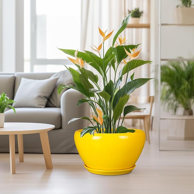 Ceramic Planter for Indoor Plants - Image 2