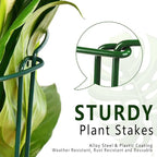 6 Pack Plant Support Stakes, 15.8" Half Round Metal Garden Plant Supports - Image 5