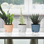 KIMCHOMERSE Self Watering Plant Pots, 6 Inch Plant Pots White, 3 Pack Flowers - Image 8