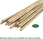 40pcs Natural Bamboo Sticks for Indoor and Outdoor Plants, 16 Inch Plant - Image 5
