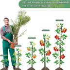 Plant Stakes 17inch &11inch SupKing 16Pcs Adjustable Flower Support Poles - Image 5