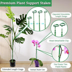 Extendable Plant Stakes, Length Scalable from 17.9IN to 42.3IN Plant Support - Image 4