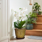 Ceramic Pots for Plants - Image 6