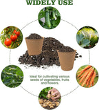40Pcs 3.15 Inch Peat Pots, Biodegradable Eco-Friendly Round Plant Seedling - Image 3