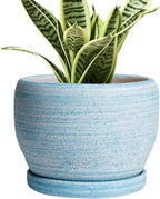 SQOWL Ceramic Planters for Indoor Plants by SQOWL