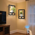 BAOYOUNI 2 Pack Picture Frame Wall Plant Holder by BAOYOUNI