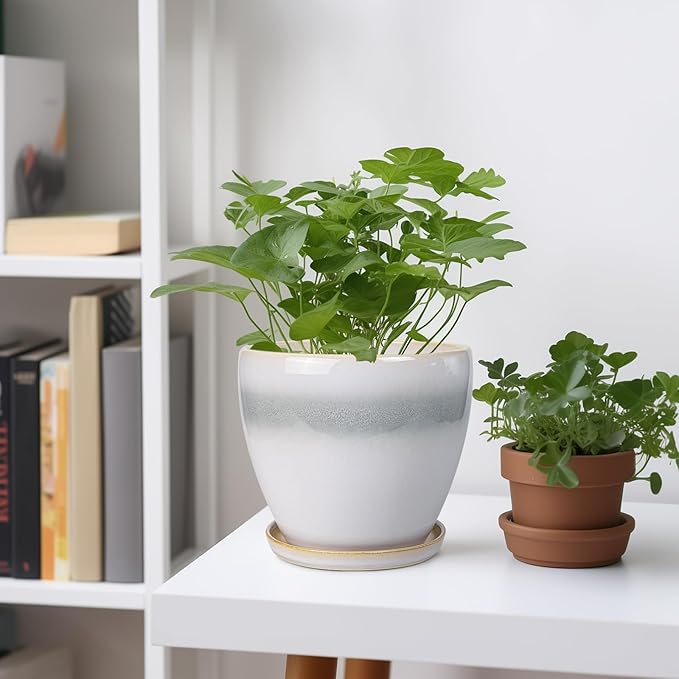 6.3 Inch Plant Pot - Image 2