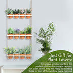 3 Tiered Hanging Herb Planters Hanging Herb Garden Wall - Image 7
