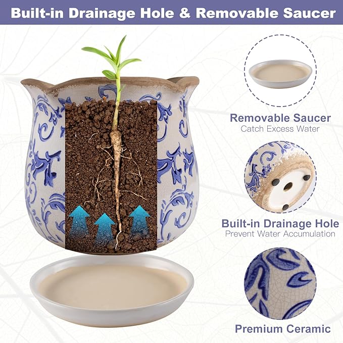 Ceramic-Planters-for-Indoor-Plants - Image 7