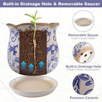 Ceramic-Planters-for-Indoor-Plants - Image 7