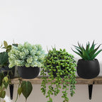 Winlyn Set of 3 Artificial Succulent Plants in Black Concrete Pots Faux Aloe - Image 4