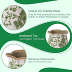 Ceramic-Planters-for-Indoor-Plants - Image 5