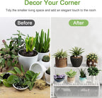 Metal Plant Stand Metal 2 Tier Potted Multiple Flower Pot Holder Plant Shelf - Image 4